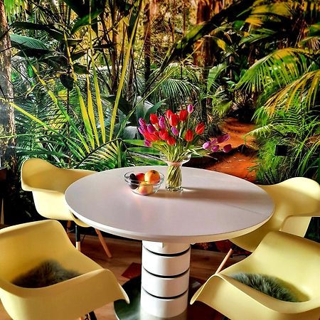Funny Jungle Ferienwohnung Im Hahnenklee Goslar Dış mekan fotoğraf
