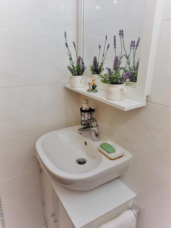 Funny Jungle Ferienwohnung Im Hahnenklee Goslar Dış mekan fotoğraf
